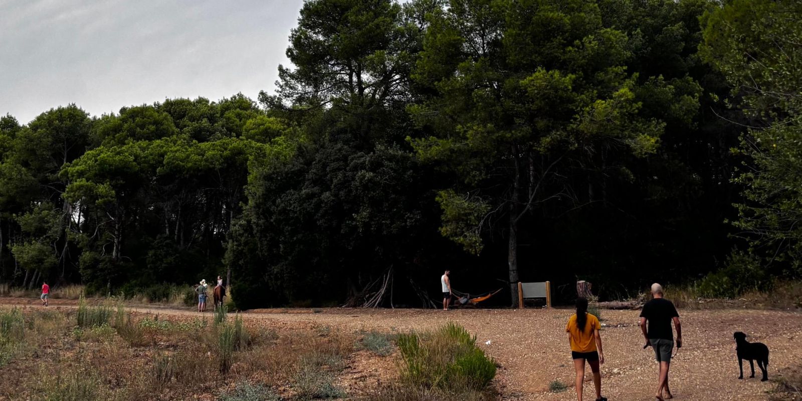 Sant Cugat pide plan para reabrir Collserola